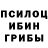 Галлюциногенные грибы MAGIC MUSHROOMS Gluk Gaming