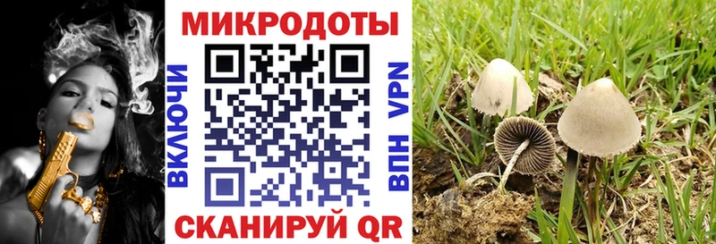 купить наркотики цена  Камызяк  Псилоцибиновые грибы GOLDEN TEACHER 